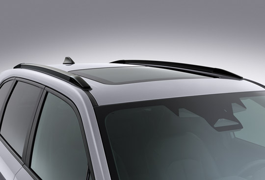 <sg-lang1>Roof Rails</sg-lang1><sg-lang2></sg-lang2><sg-lang3></sg-lang3>