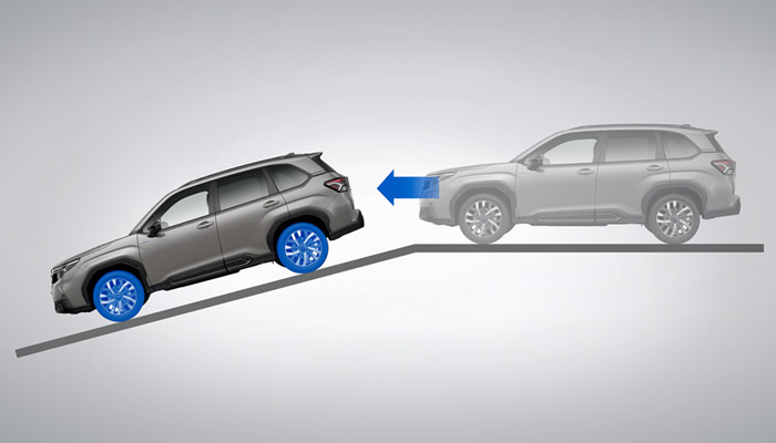 <sg-lang1>Hill Descent Control</sg-lang1><sg-lang2></sg-lang2><sg-lang3></sg-lang3>
